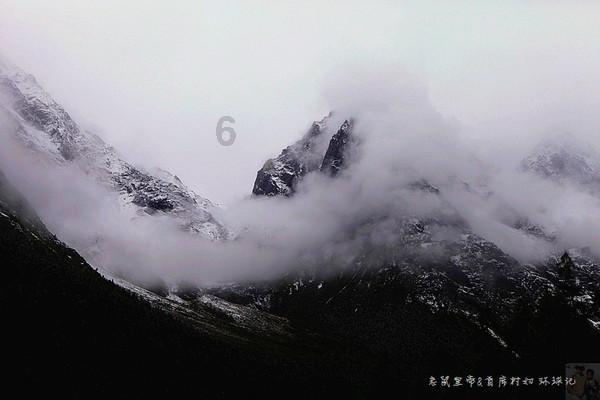 米乐米可森林大冒险